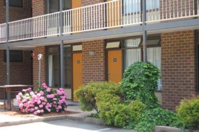 קנברה Red Cedars Motel מראה חיצוני תמונה